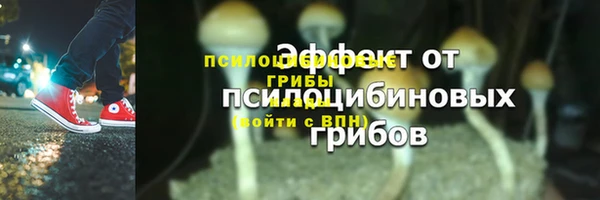 стафф Абдулино