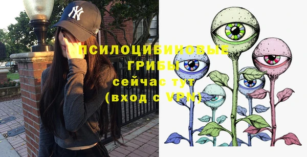 стафф Абдулино