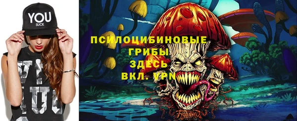 PSILOCYBIN Нефтегорск
