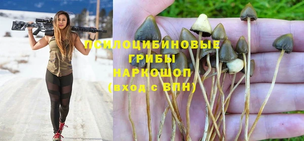 стафф Абдулино