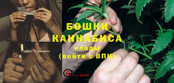 PSILOCYBIN Нефтегорск