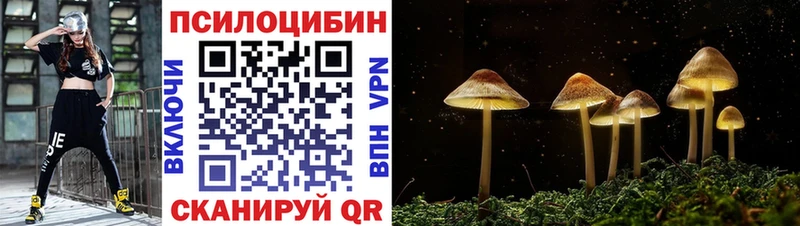 Галлюциногенные грибы GOLDEN TEACHER  Лесозаводск 